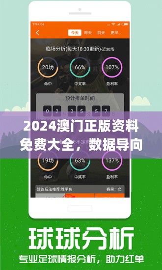 2024新澳正版免费资料-精选解释解析落实