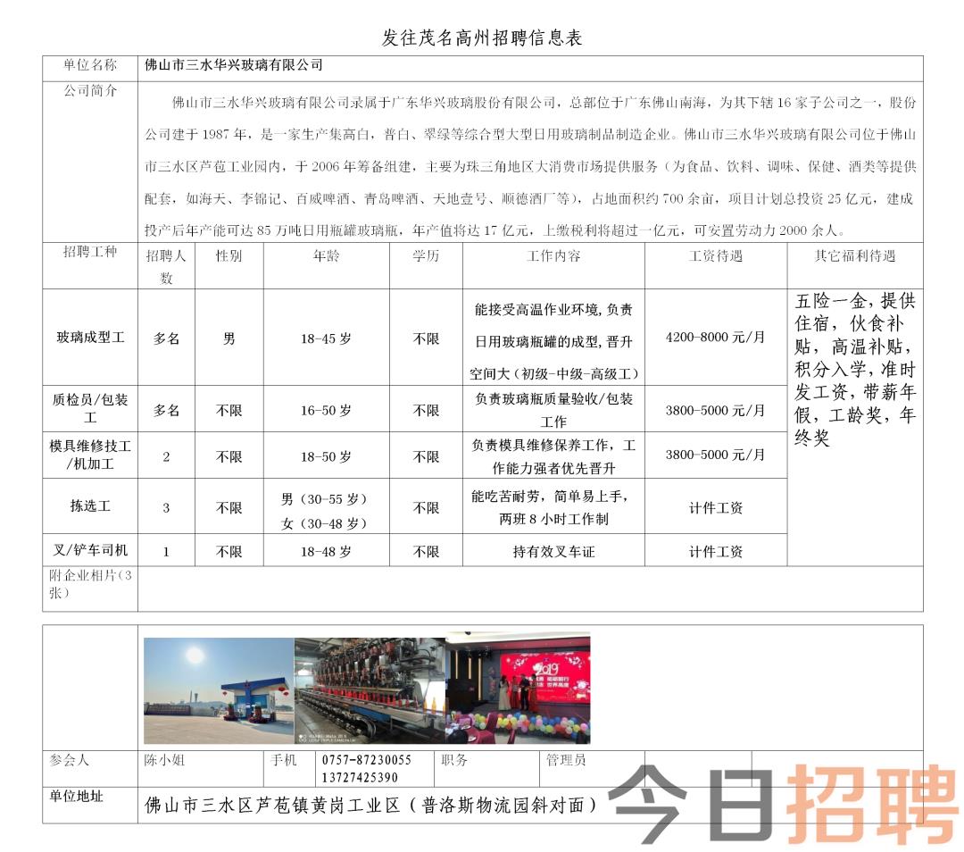 道滘镇最新招聘信息概览