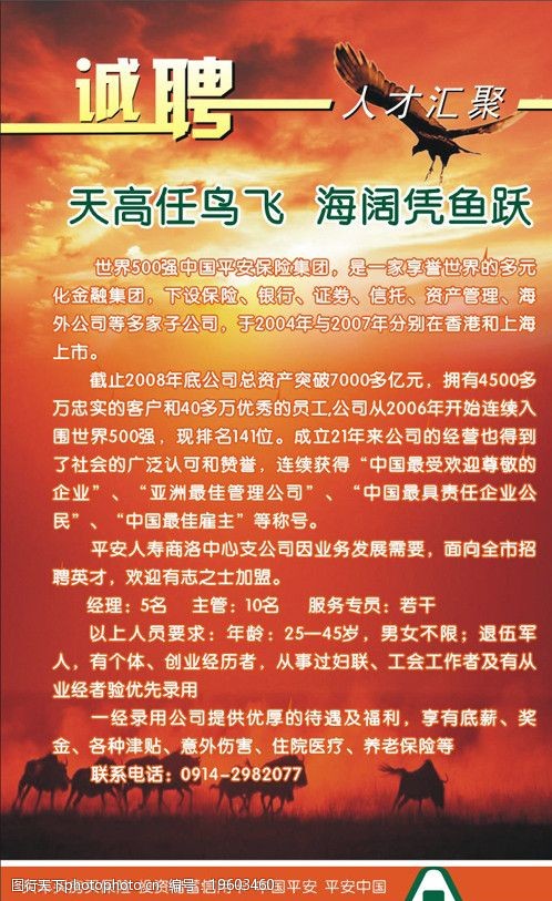 沅江太阳鸟最新招聘启事