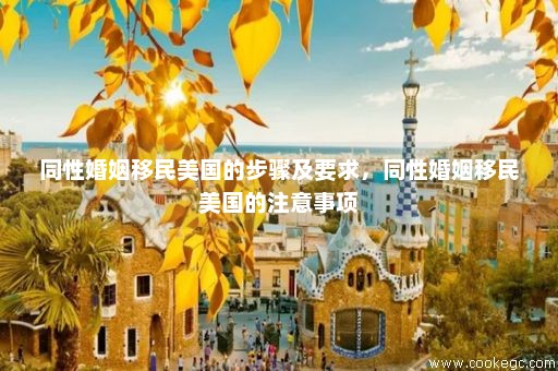 美国结婚移民最新政策详解